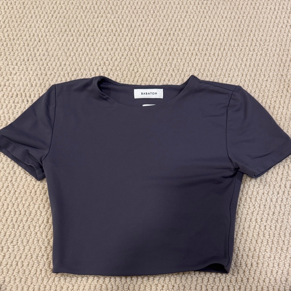 Aritzia Babaton cropped tee